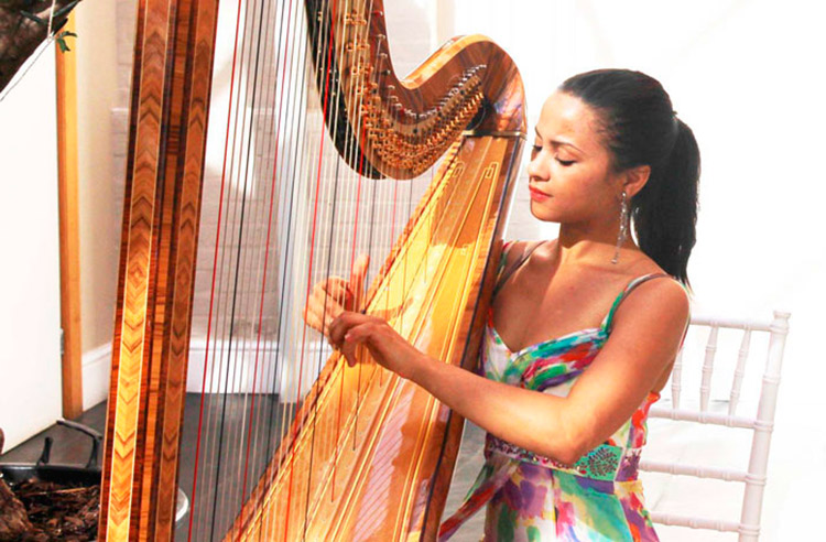 Step out of the norm and consider something unique for your special occasion or event. Unique and Unusual Wedding Music?