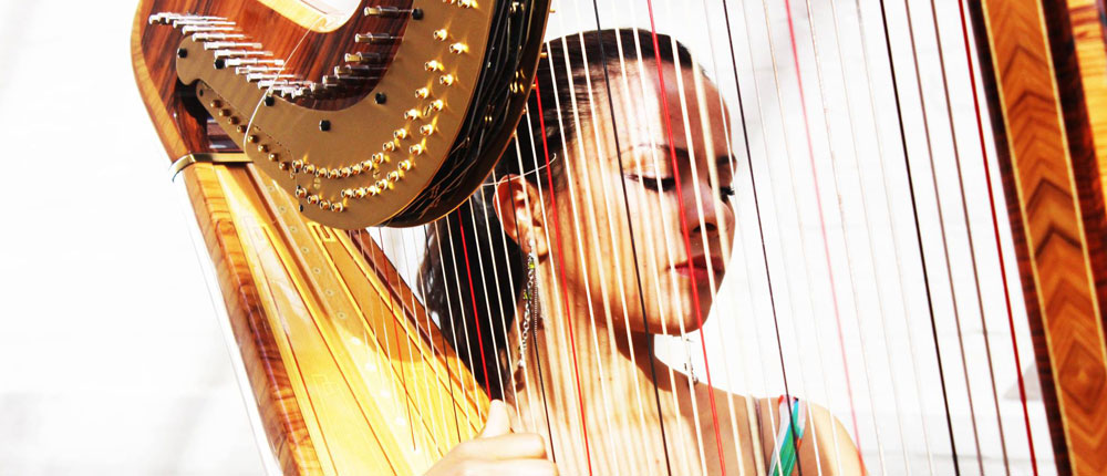 Herefordshire Harpists