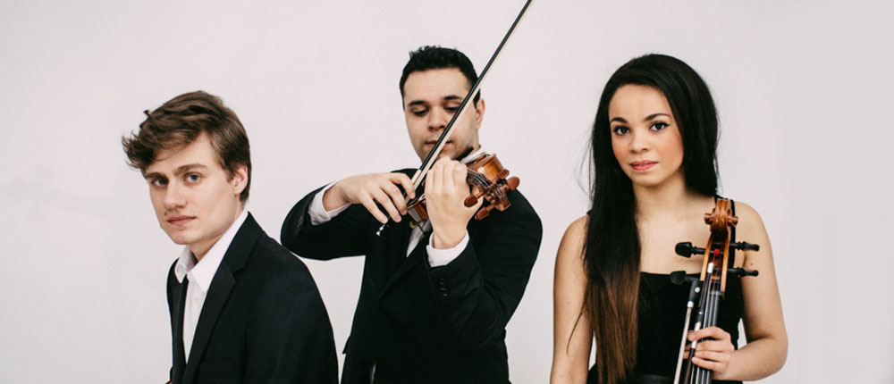 Cumbria String Quartets