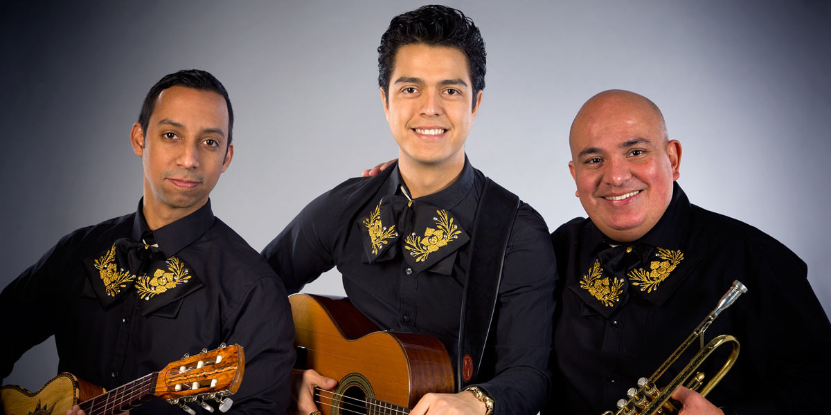 Musicians To Hire For Parties 2025